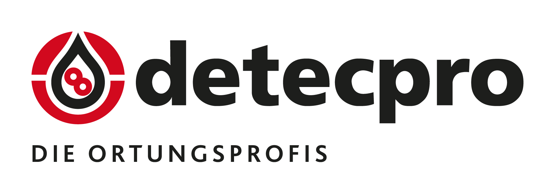Logo detecpro